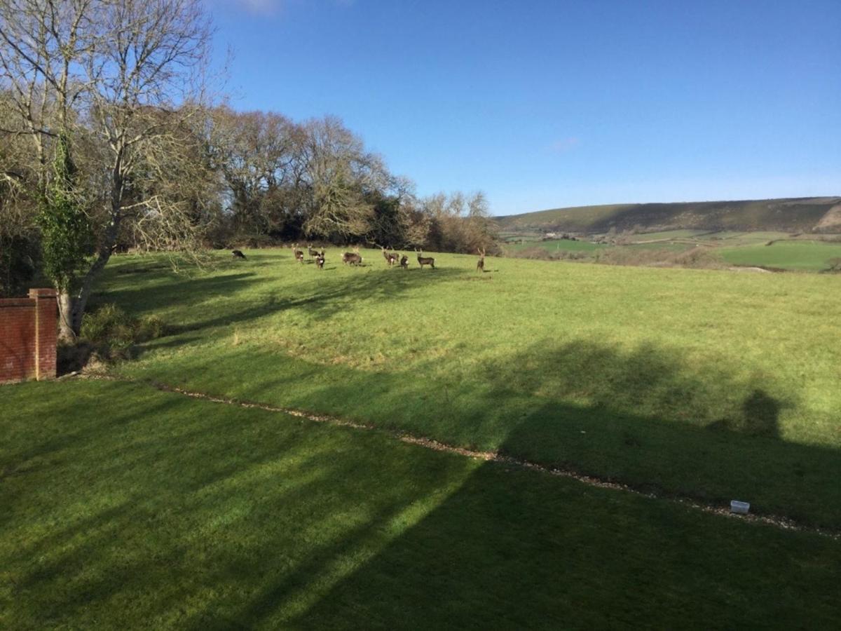 Langton Matravers Yards Brake On 40 Acres Of Private Landヴィラ エクステリア 写真