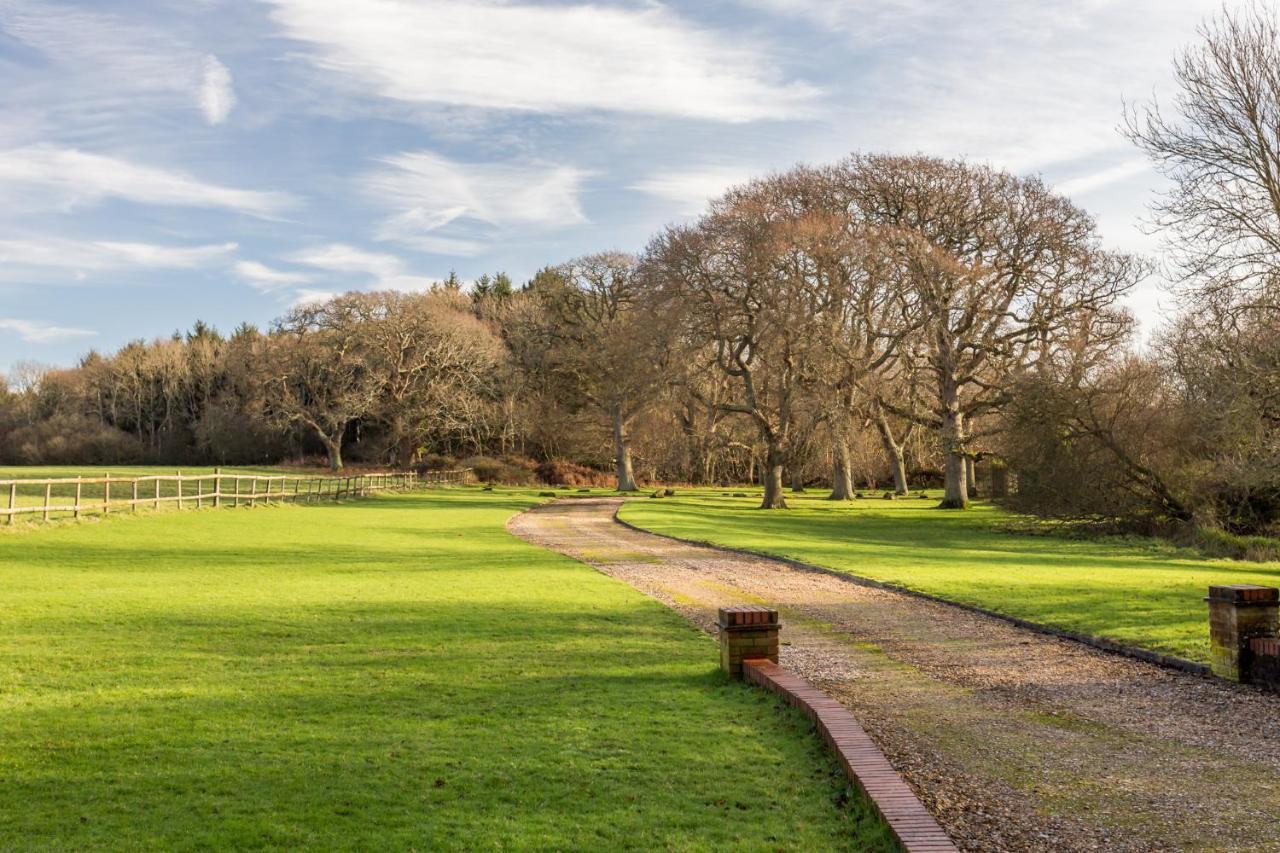 Langton Matravers Yards Brake On 40 Acres Of Private Landヴィラ エクステリア 写真