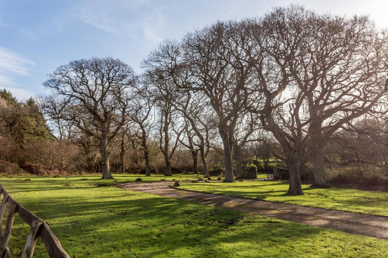Langton Matravers Yards Brake On 40 Acres Of Private Landヴィラ エクステリア 写真